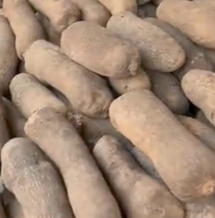 Fresh Yam (per bag) view 2