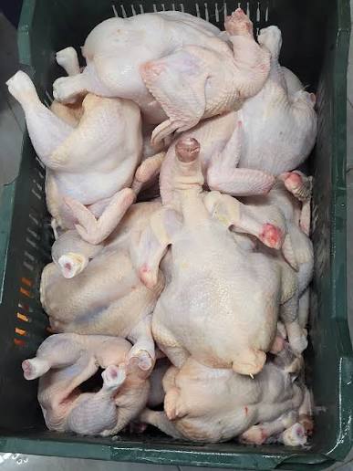 1 Carton Farm Fresh Frozen Whole Chicken | 66 Cartons per tonnes view 2