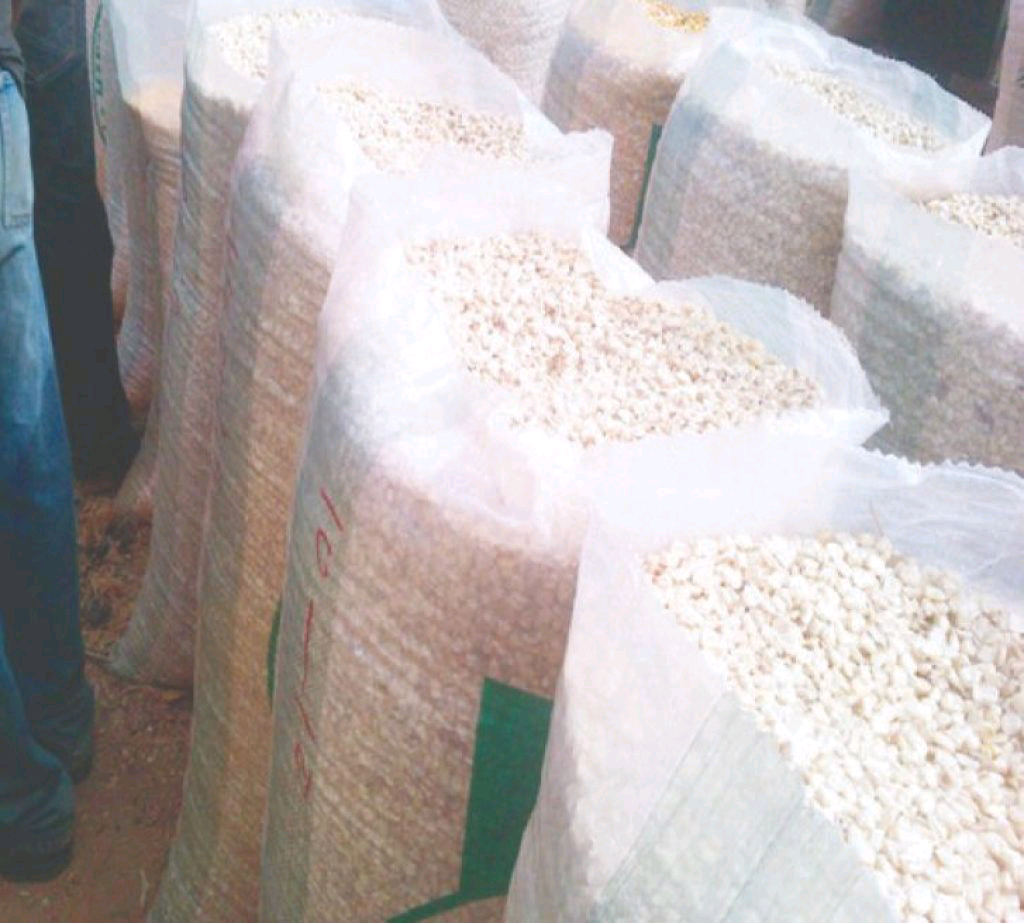 White Corn - MNSWHOLESALE UK Grains & Cereals