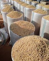 Premium Soybeans - MNSWHOLESALE UK Grains & Cereals