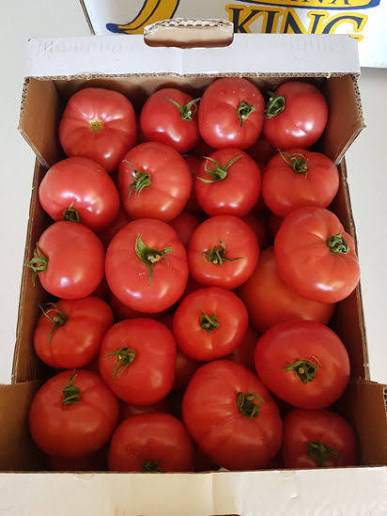 Processed Tomatoes ( per basket ) - MNSWHOLESALE UK Processed Food